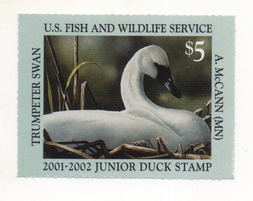 Junior duck stamp usa papier - junior,