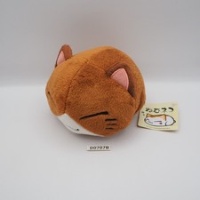 D0707B Nemuneko gatto