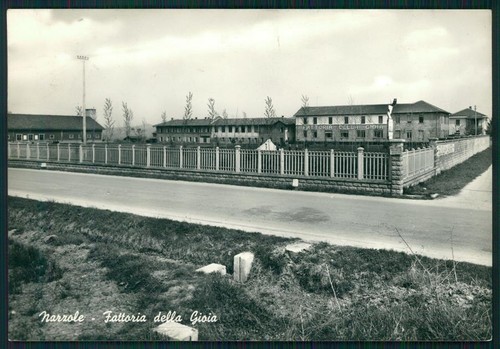 Cuneo narzole fattoria della - cuneo,
