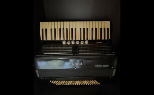 Fisarmonica 120 bassi - fisarmonica,