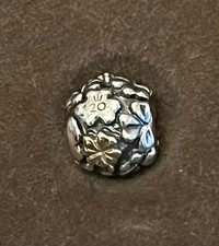 Autentico Pandora Raro Charm