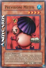 PREVISIONI METEO (Weather