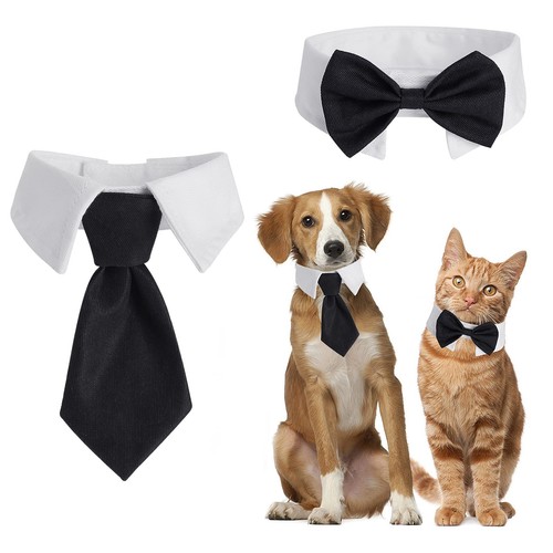 Cobee papillon per cani - papillon, e