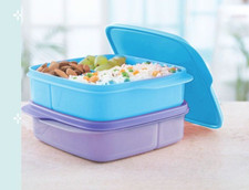 Tupperware Eco+ Pause Box 550