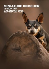 Miniatura Pinscher 2026 Calendari (A3)