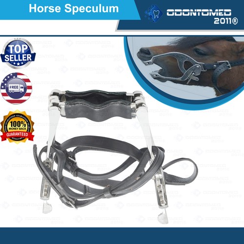 Speculum dentale equino