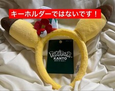 Costume Carnevale Pokepark