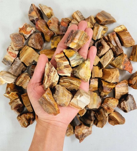 Cristalli legno grezzi - legno,