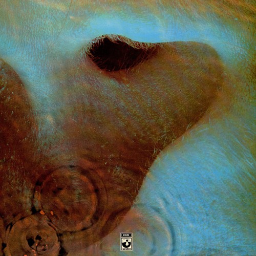 Pink floyd meddle vinyl - floyd, lp