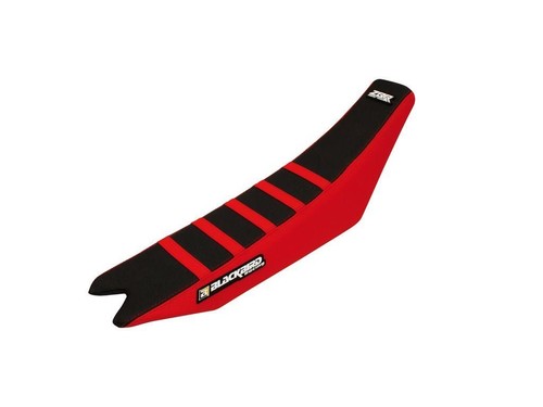 Blackbird zebra copri - zebra,