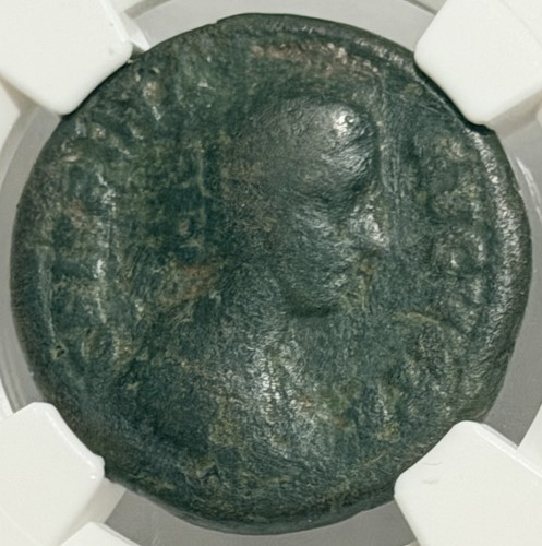Crispina 177 182 - crispina, ae