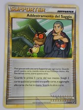 Addestramento Del Saggio ®