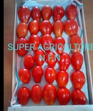 50 Semi Pomodoro San Marzano