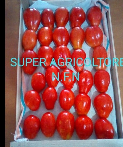 Semi pomodoro san marzano - san,