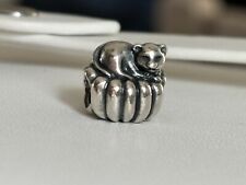 Charm gatto accogliente