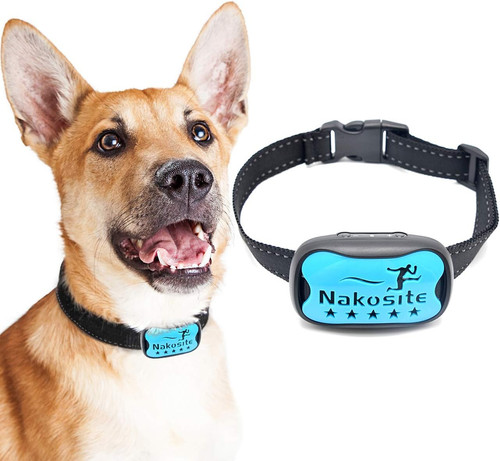 Dog2433 collare antiabbaio - dog2433,
