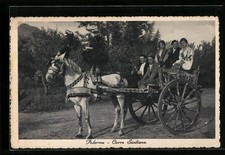 Palermo, Carro Siciliano