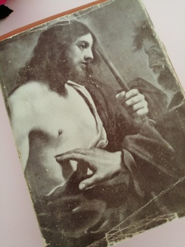 Collection libri antichi - libri,