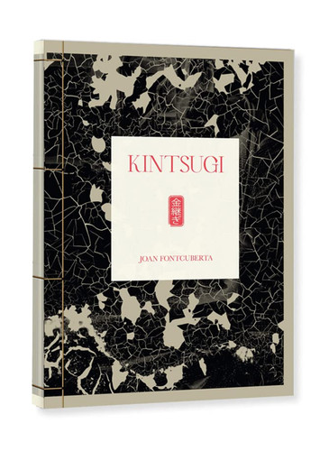 Joan fontcuberta kintsugi - fontcuberta:,