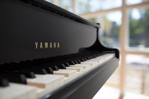 Yamaha pianodisc pianosoft - pianodisc,