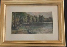 Paesaggio lacustre  molto