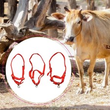 Cavezza da addestramento per