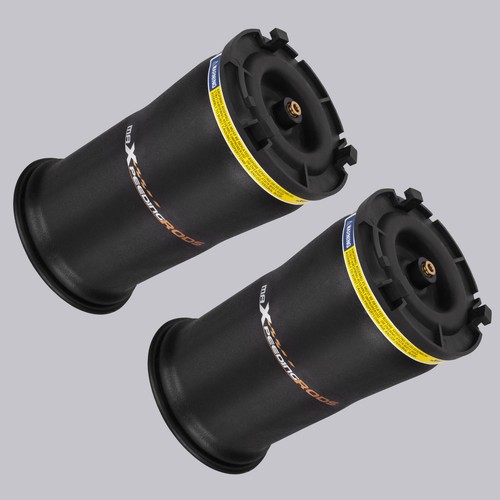 2pz molla pneumatica - molla, soffietto