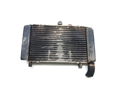 RADIATORE RADIATOR ACQUA