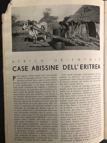 Articoli stampa d - articoli, di