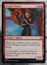 Magic - Dragon Trainer -