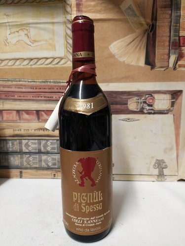 Vino 1981pignul spessa - di,