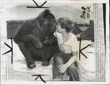 1955 Press Photo Escaped