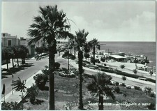 98040  - CARTOLINA d'Epoca -  BARI provincia   -  TORRE A MARE  1956
