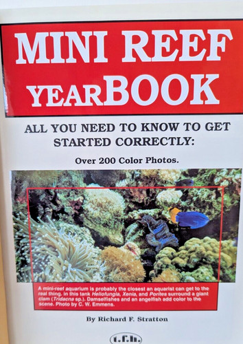 Mini reef aquarium - mini-reef, all