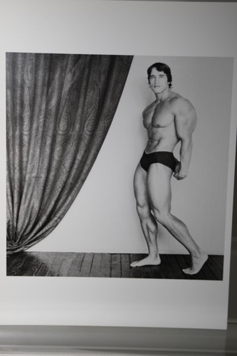 Robert mapplethorpe arnold - robert, mapplethorpe:
