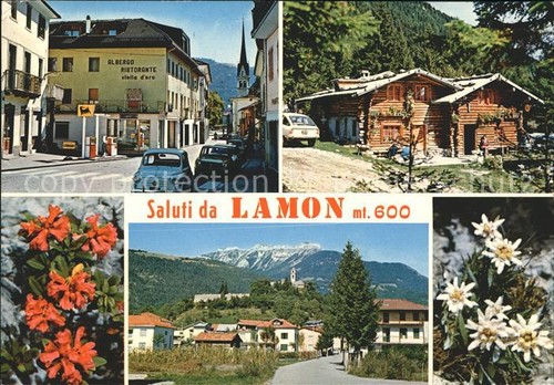 Lamon hotel ristorante stella