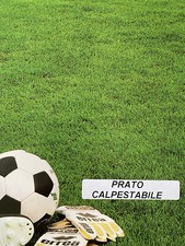 Prato campo calcio - calcio, 25
