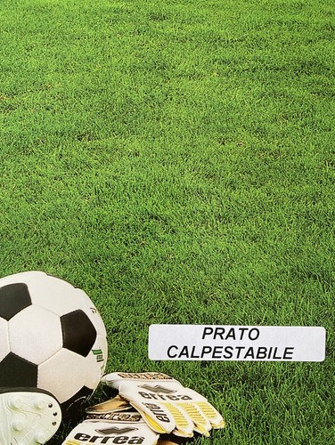 Prato campo calcio - da,