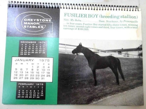 1975 greystone manor stables - 1975,