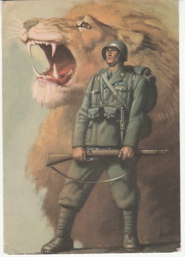 Cartolina militare boccasile - cartolina,