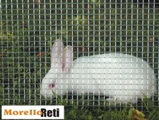 RETE ZINCATA PER GABBIE E