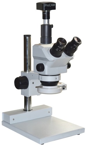 Microscopio stereo