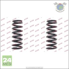 2x molla molle Ammortizzatori