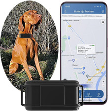 Gps per collare cani - collare,
