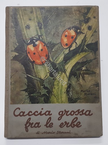 Libri per ragazzi matio - libri,