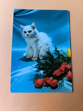 GATTO GATTINO  BIANCO CON ROSE