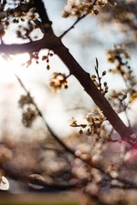 PENTACON AUTO 1.8/50 *TOP*