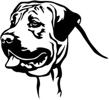 Adesivo PRESA CANARIO - adesivo auto - sticker - testa Dogo Canario #08