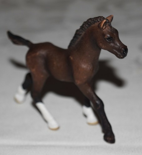 Schleich puledro arabo 13762