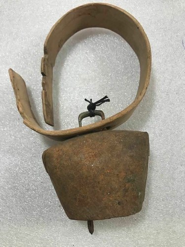 Vecchia campana - campana,